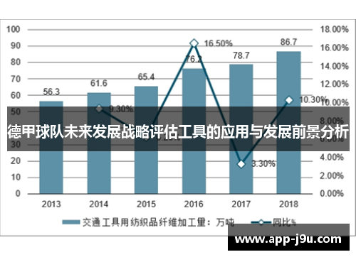 德甲球队未来发展战略评估工具的应用与发展前景分析