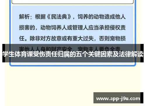 学生体育课受伤责任归属的五个关键因素及法律解读