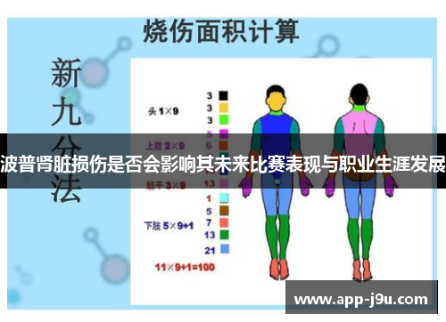 波普肾脏损伤是否会影响其未来比赛表现与职业生涯发展
