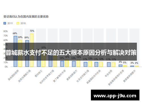 蓉城薪水支付不足的五大根本原因分析与解决对策