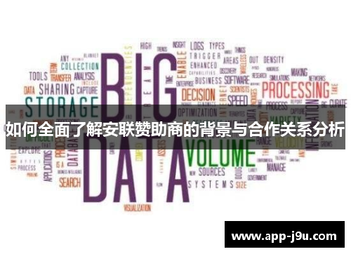 如何全面了解安联赞助商的背景与合作关系分析